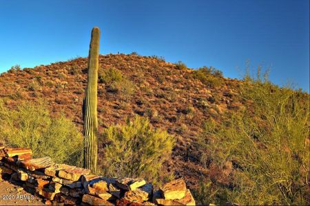 New construction Single-Family house 39347 N Old Stage Rd, Cave Creek, AZ 85331 null- photo 9 9