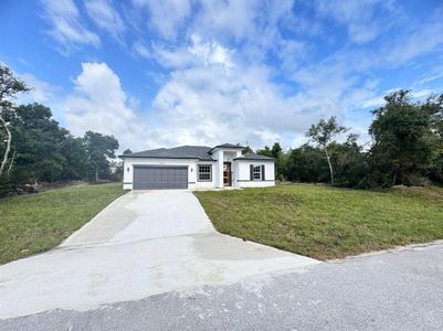 New construction Single-Family house 14954 Sw 38Th Cir, Ocala, FL 34473 null- photo 0