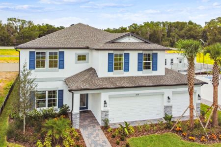 New construction Single-Family house 20014 Oriana Loop, Land O' Lakes, FL 34638 Coronado II- photo 3 3