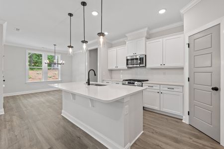 New construction Single-Family house 9101 Dupree Meadow Dr, Angier, NC 27501 plan The Ellery - image 9