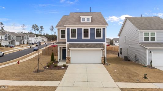 New construction Single-Family house 122 Steel Springs Ln, Angier, NC 27501 - image