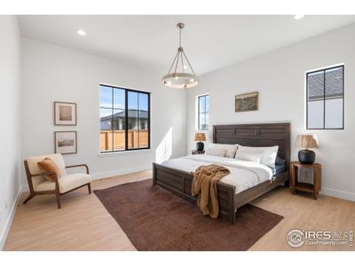 New construction Single-Family house 165 Boxwood Dr, Windsor, CO 80550 - image 8