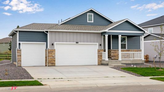New construction Single-Family house 1702 Floating Leaf Dr, Fort Collins, CO 80528 plan CHATHAM - image