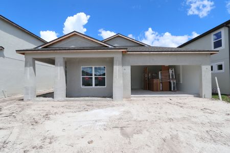 New construction Single-Family house 33227 Amling Pecan Br, Wesley Chapel, FL 33545 Newport II- photo 2 2