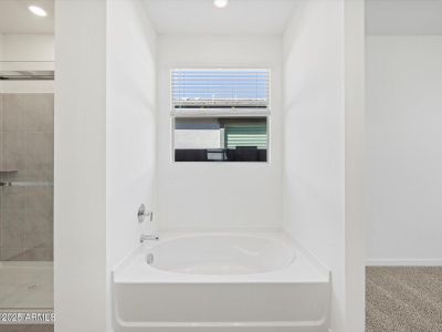 New construction Single-Family house 16076 W Prickly Pear Trl, Surprise, AZ 85387 Sawyer- photo 17 17