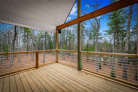 New construction Single-Family house 56 Running Brooke Ct, Morganton, GA 30560 - image