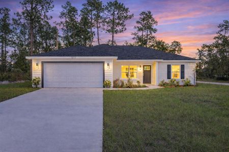New construction Single-Family house 119 Nw Redwood Dr, Dunnellon, FL 34431 - image