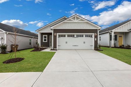 New construction Single-Family house 61 Storm Ln, Hoschton, GA 30548 Rosehill- photo 18 18