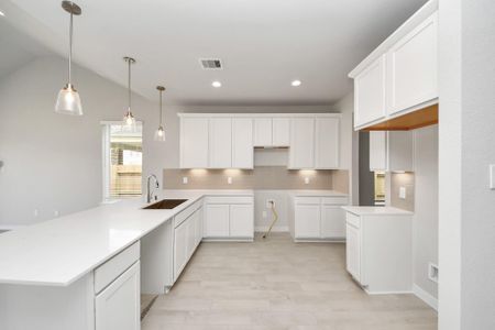 New construction Single-Family house 11103 Tulip Ridge Trl, Houston, TX 77044 plan 265 - image 8