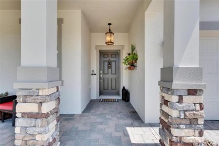 New construction Single-Family house 5026 Bromeliad Ave, Wimauma, FL 33598 Salinas- photo 7 7