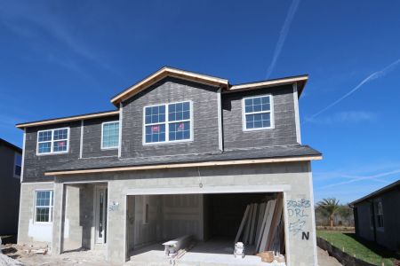 New construction Single-Family house 31223 Denham Ridge Ln, Wesley Chapel, FL 33545 Sonoma II- photo 33 33