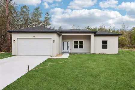 New construction Single-Family house 80 Malauka Pass Crse, Ocklawaha, FL 32179 - image
