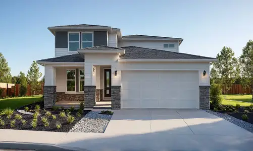 New construction Single-Family house 7969 Moose Mdws, Colorado Springs, CO 80925 plan Elm - image