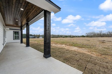 New construction Single-Family house 93 Long Horn Lp, New Waverly, TX 77358 - image 4