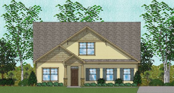 New construction Single-Family house Youngsville, NC 27596 null- photo 3 3