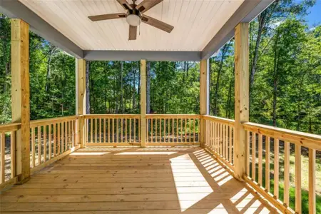 New construction Single-Family house 170 Pleasant Point Wy, Fayetteville, GA 30214 - image