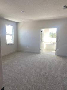 New construction Single-Family house 9493 Emerald Berry Dr, Winter Garden, FL 34787 - image 12