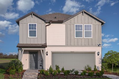 New construction Single-Family house 20876 Drake Elm Dr, Land O' Lakes, FL 34638 null- photo 0 0