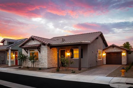 The Village at Hamilton Landing by New Village Homes in Chandler - photo 9 9