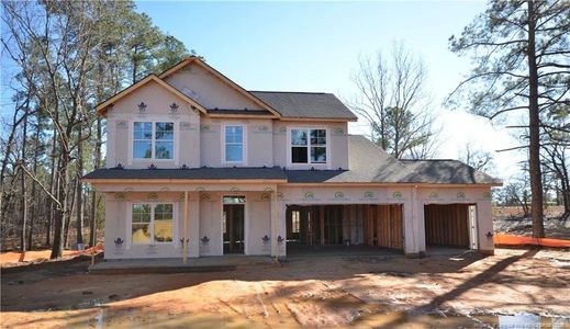 New construction Single-Family house 324 D L Phillips Ln, Broadway, NC 27505 - image