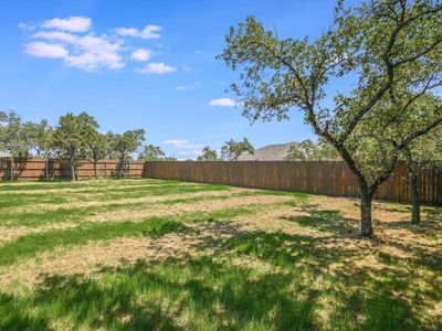 New construction Single-Family house 3405 Emerald Lake Path, Georgetown, TX 78628 Topaz- photo 39 39