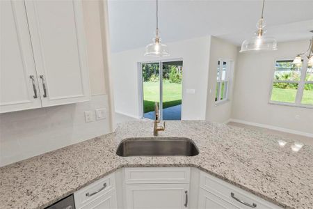 New construction Single-Family house 27 Poindexter Ln, Palm Coast, FL 32164 null- photo 24 24