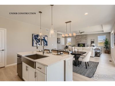 New construction Single-Family house 2723 Crystal Spgs, Longmont, CO 80501 Silverthorne - photo 7 7