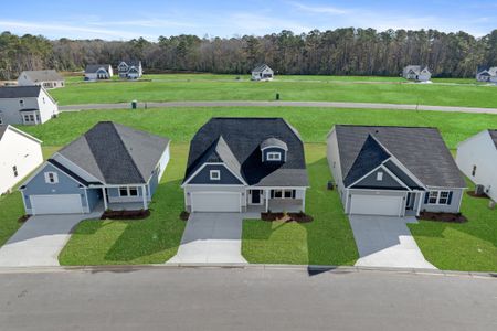 New construction Single-Family house 1230 Calabash Station Blvd Nw, Calabash, NC 28467 plan Kent - image