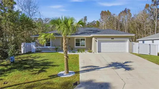 New construction Single-Family house 12890 Se 42Nd Ct, Belleview, FL 34420 - image