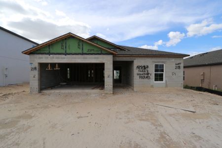 New construction Single-Family house 12227 Hilltop Farms Dr, Dade City, FL 33525 Sentinel- photo 56 56