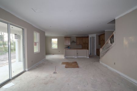 New construction Single-Family house 20125 Oriana Loop, Land O' Lakes, FL 34638 Santina II- photo 115 115