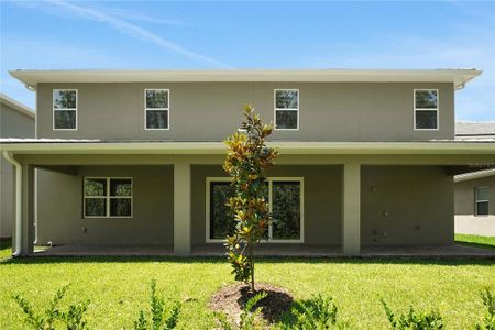 New construction Single-Family house 14249 Crest Palm Ave, Windermere, FL 34786 null- photo 68 68