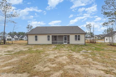 New construction Single-Family house 116 Prosecco Dr, Princeton, NC 27569 - image 18