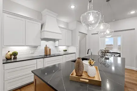 New construction Single-Family house 1009 Chandler Rd, Denton, TX 76207 - image 6