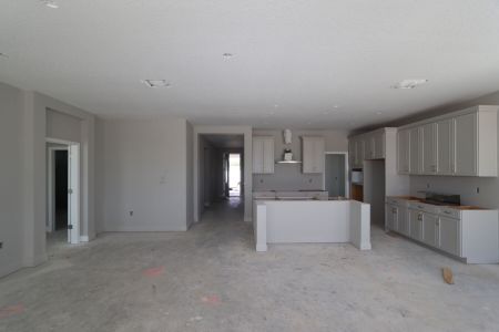 New construction Single-Family house 31236 Denham Ridge Ln, Wesley Chapel, FL 33545 Santa Monica- photo 72 72