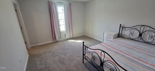 New construction Single-Family house 43 Windflower Ct, Clayton, NC 27520 - image 20