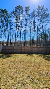 New construction Single-Family house 20822 Masella Ridge Dr, New Caney, TX 77357 null- photo 12 12