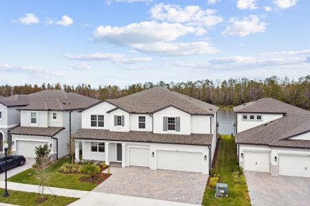 New construction Single-Family house 7819 Notched Pine Bnd, Wesley Chapel, FL 33545 Windsor- photo 75 75