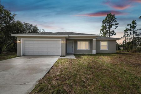 New construction Single-Family house 12438 Sw 87Th Ave, Dunnellon, FL 34432 null- photo 0