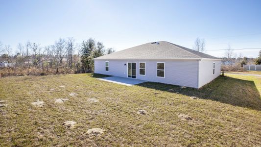 New construction Single-Family house 224 Locust Pass Crse, Ocala, FL 34472 The 2052- photo 52 52