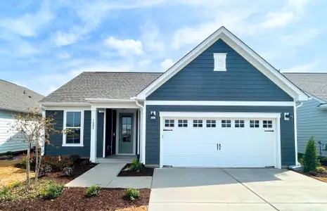 New construction Single-Family house Charleston, SC 29492 null- photo 0