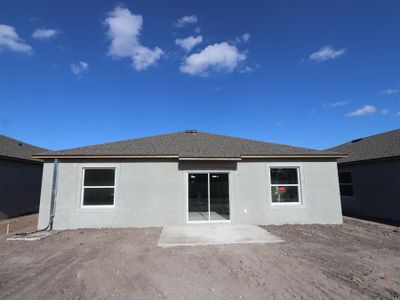 New construction Single-Family house 4979 Bay Forest Ct, Wimauma, FL 33598 plan Ventura - image