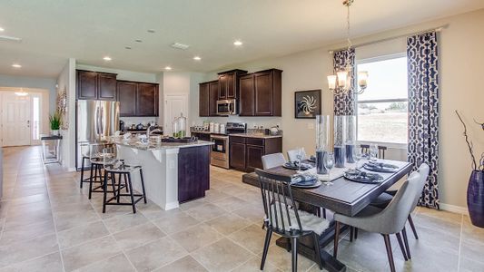 New construction Single-Family house 3831 Turning Tides Ter, Bradenton, FL 34208 null- photo 10 10