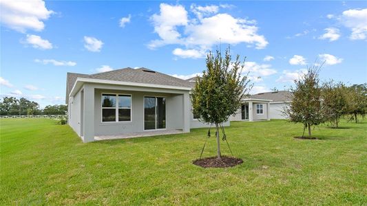 New construction Single-Family house 30330 Emerald Forest Dr, Mount Dora, FL 32757 plan Longleaf - image