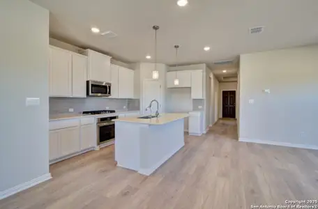 New construction Single-Family house 849 Saltbush St, New Braunfels, TX 78130 plan Bermuda - image