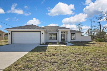 New construction Single-Family house 6202 Belkton Ave, Spring Hill, FL 34608 null- photo 0 0