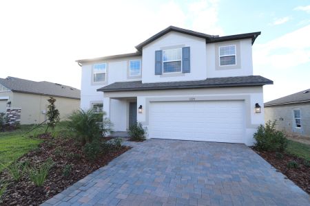 New construction Single-Family house 12219 Hilltop Farms Dr, Dade City, FL 33525 Malibu- photo 105 105