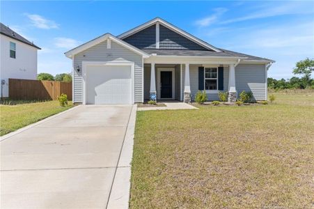 New construction Single-Family house 195 Bracknell Ln, Raeford, NC 28376 - image