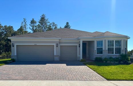 New construction Single-Family house 4908 Hilly Heights Dr, Mount Dora, FL 32757 plan Easley - image