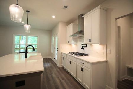 New construction Single-Family house 93 Riverwalk Manor Dr, Dallas, GA 30132 - image 19